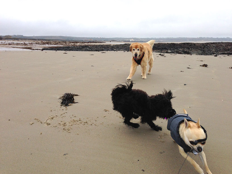 rolo-winnie-dashing-about-170314