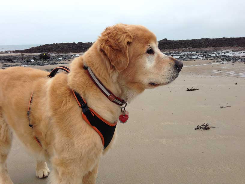 taka-st-Ounes-170314