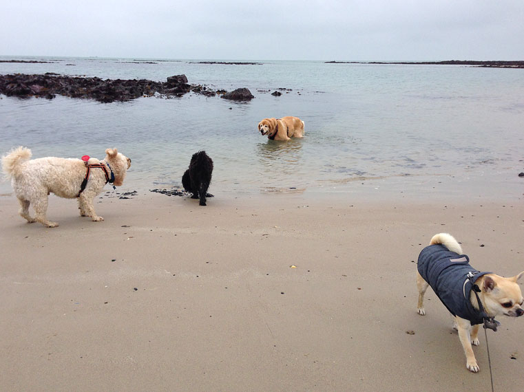 waters-edge-swinning-st-ounes-170314