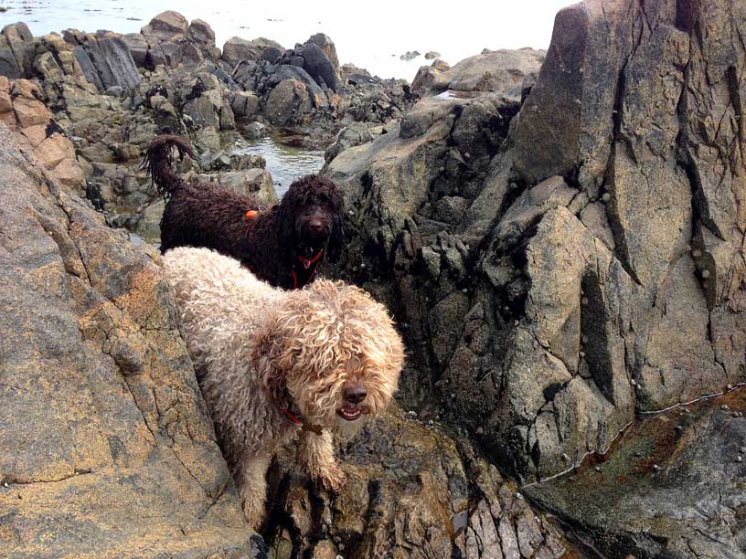 Ella-Betty-rocks-040414