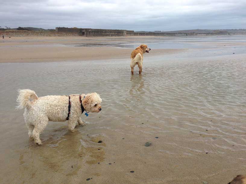 Jack-Taka-St-Ouen-Jersey-070414