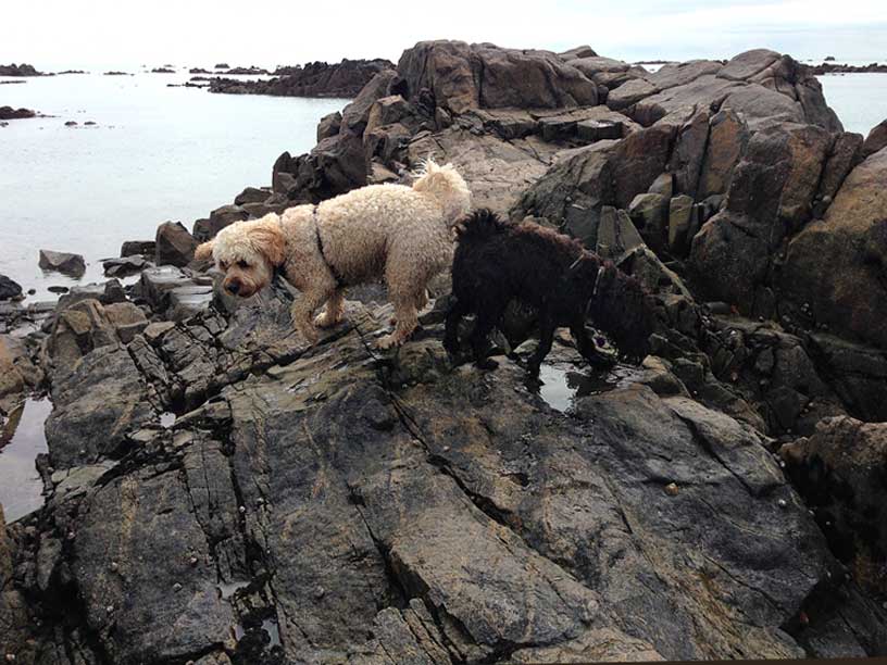 Jack-Winnie-rocks-040414