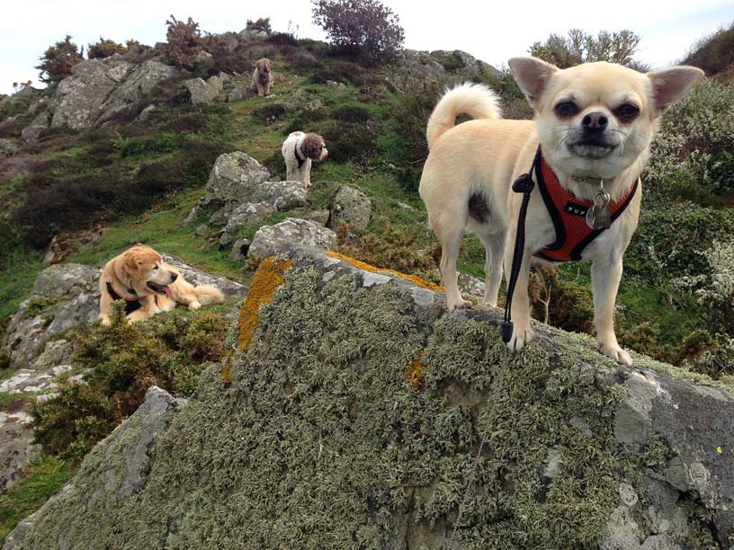 full-crew-egypt-Jersey-020414