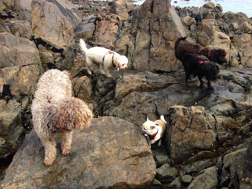 full-crew-on-rocks-040414