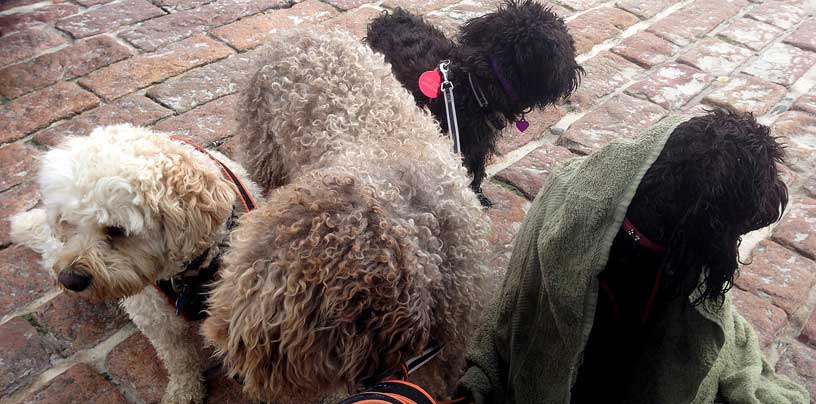 full-wet-crew-040414