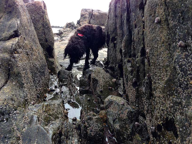 winnie-in-gullie-040414