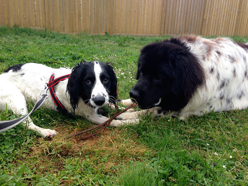 best-of-friends-Maisie-and-Bella-Jersey-200514