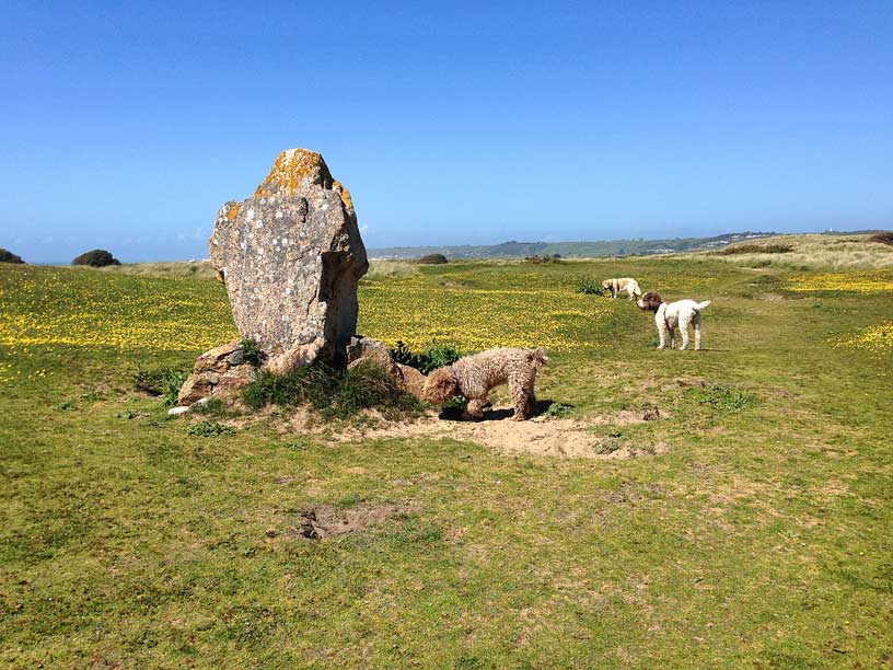 dolmon-and-crew-sand-dunes-jersey-070514