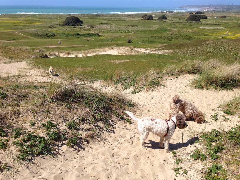 ella_ela_taka_100ft_sand-dunes-Jersey-070514