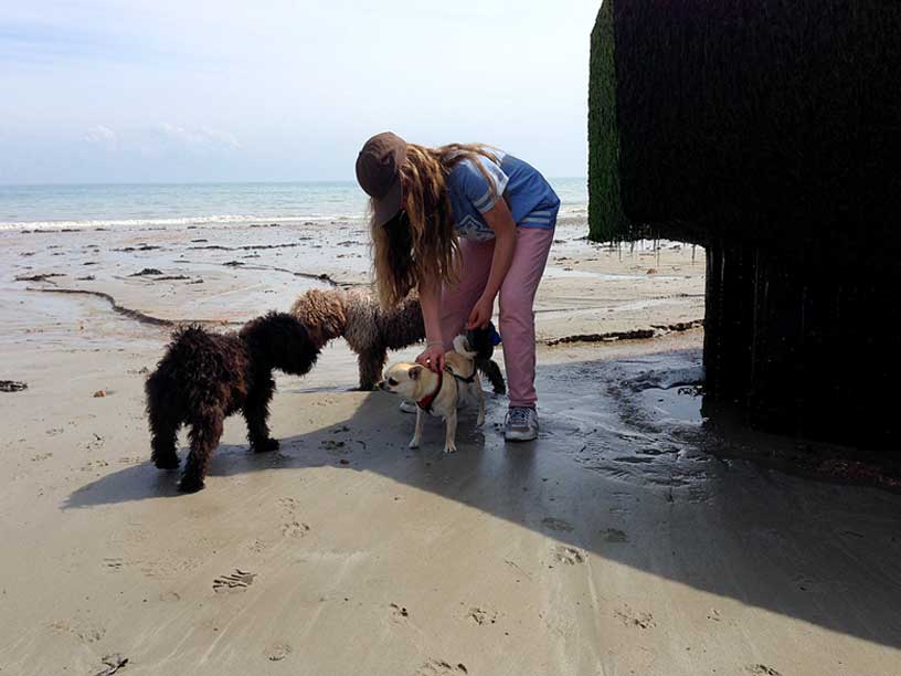 leilani-and-dogs-jersey-240414