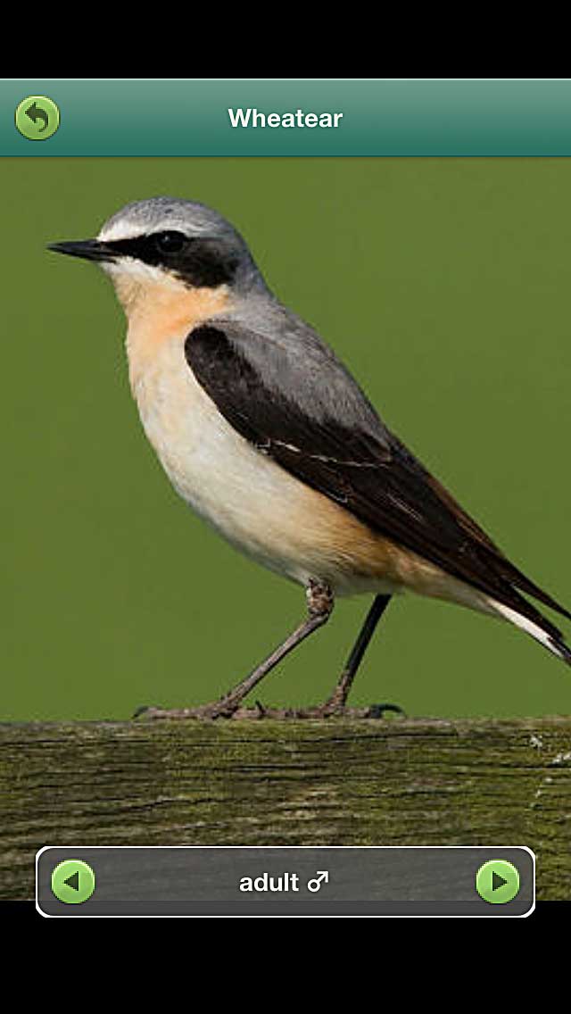 wheater_sand_dunes_jersey_070514-