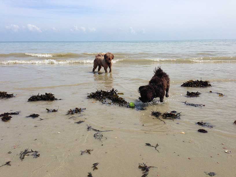 winnie-ella-in-sea-jersey-240414