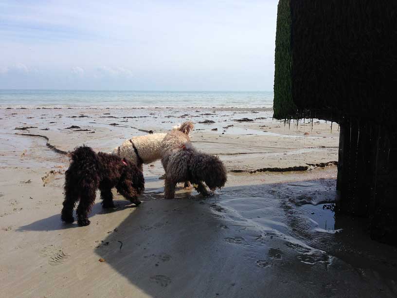 winnie-ella-jack-jersey-240414