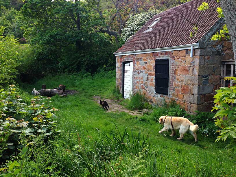 wolf-cottage-jack-winnie-taka-jersey-120514
