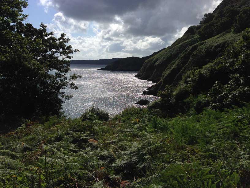 wolfs_lair_jersey_dog_walks_010814