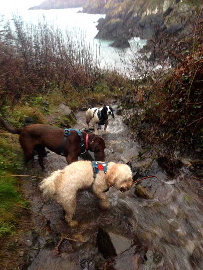 crew_in_stream_080115