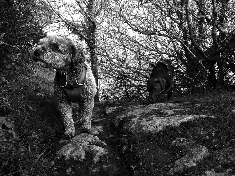 ella-and-willow-cliffpath-over-wolfs-lair-080115