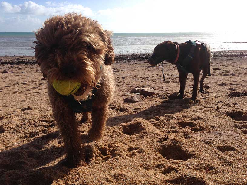 ella_ball_willow_gorey_040315