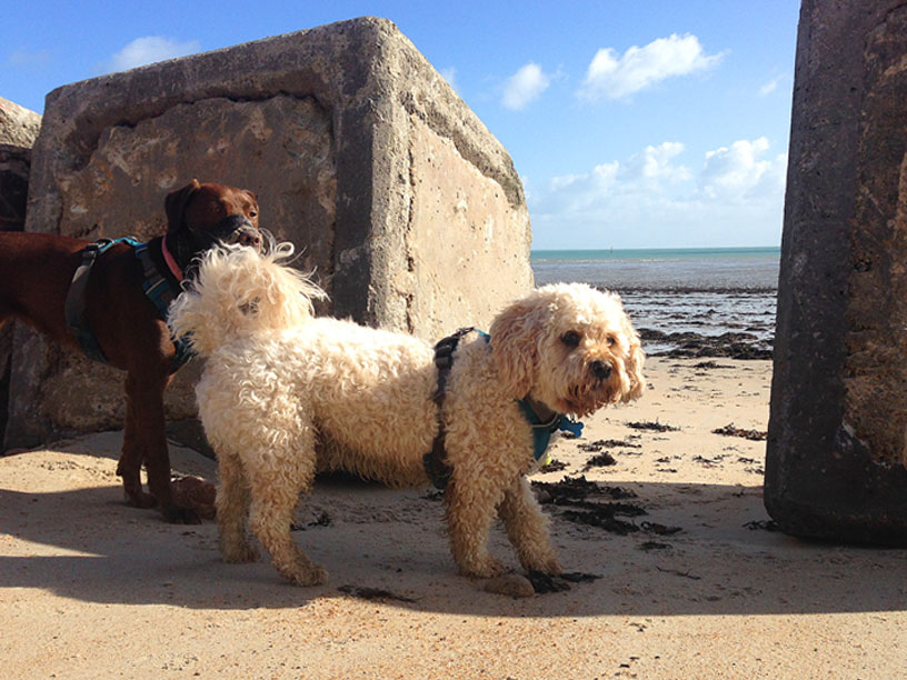 jack_willow_stones_on_gorey_040315