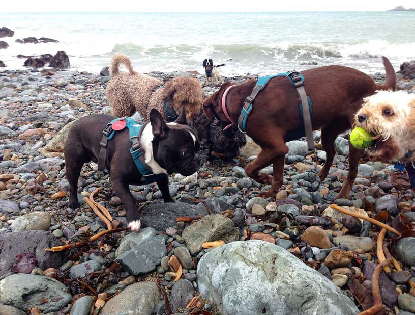 monday_crew_romeo_020315