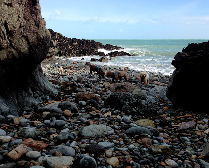 morning crew at wolfs lair 203015