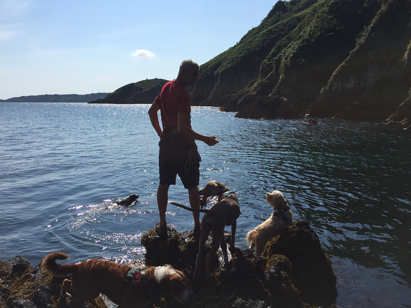 wolfs lair terry and crew on rocks_terry Jersey dog walking